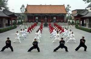 Confucius Institute: Chenjiagou (Chen village)
