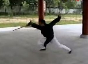 Wudang Kungfu Academy China demo