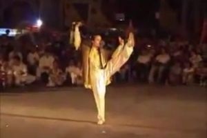 49-step Wudang Sword