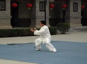 Chen Xiaoxing at Chenjiagou Temple 2006