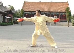 The Solitary Goose Flies Out from the Flock