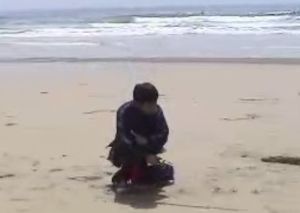 Second xie bu with right foot crossed behind