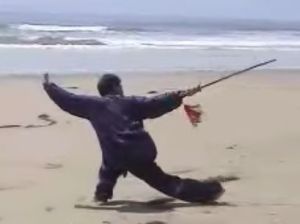 Cha bu is the back cross stance