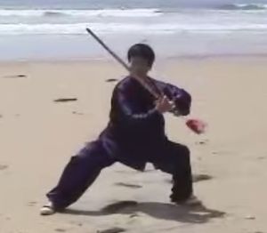 Best resource: Master Tsao's video