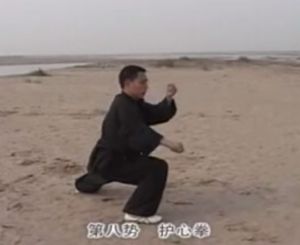 Chen ZiQiang step-by step Pao Chui