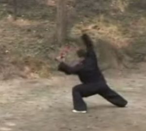 Chen ZiQiang Double Saber Demo