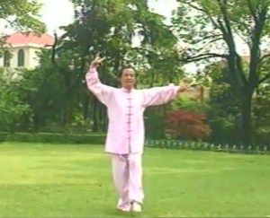 Instruction for Yi Jian Mei