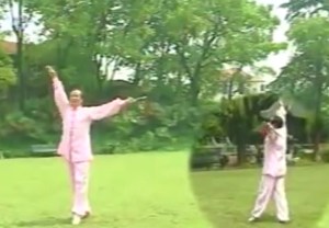 Performance of Yi Jian Mei