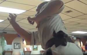 Tiger Exits the Cave