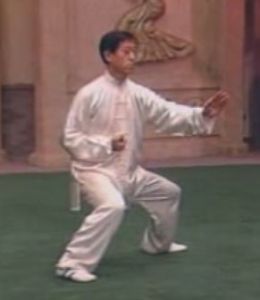 Ma Bu, Chen Zhenglei