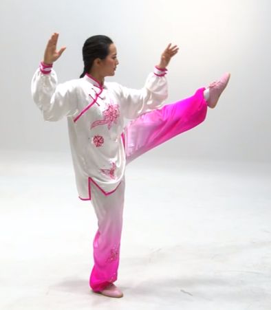 taichi  Taiji 32-Step | Tai Chi Notebook