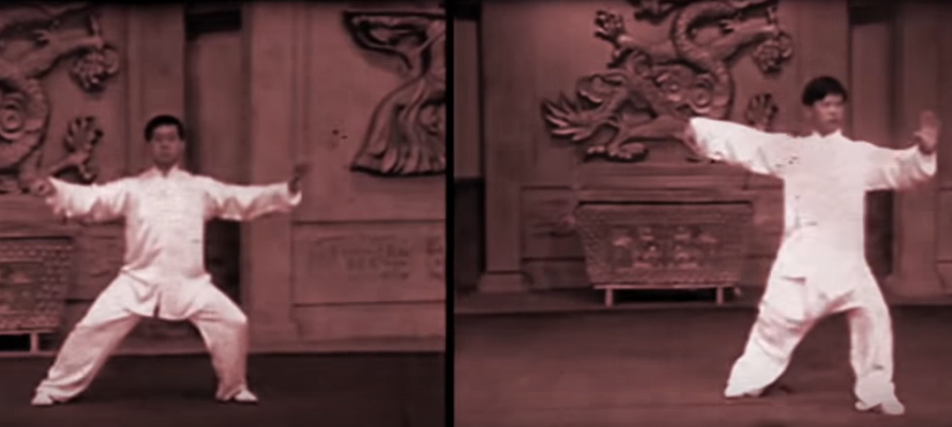 Yang & Chen Styles Compared | Tai Chi Notebook